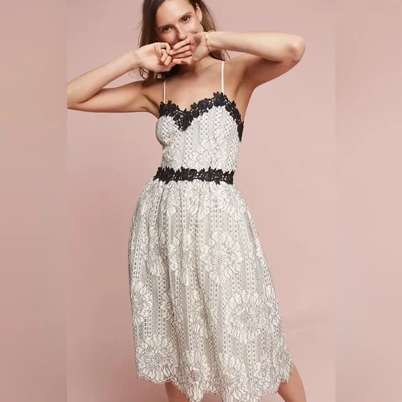 eri and ali lace dress Eri + Ali Ancona Lace Dress